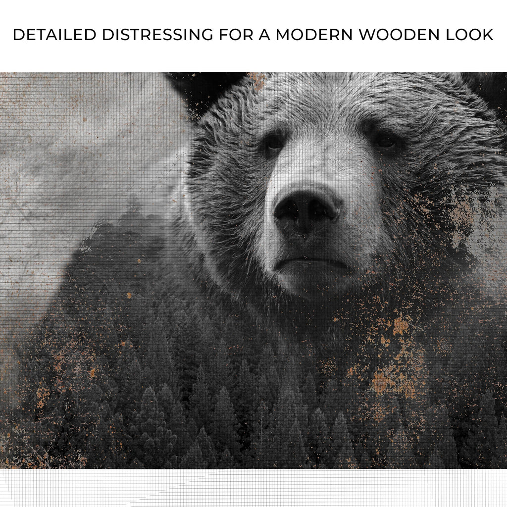 Animals Forest Bear Brown Canvas Wall Art
