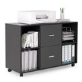File Cabinet 2 Drawers Wooden Lateral Filling Cabinet